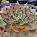 철화농장 이미지