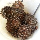 우산캠핑장 이미지