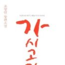 기획출판느티나무