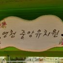 영천중앙유치원 이미지