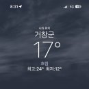혜성여자중학교 네이버블로그