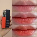 디올 어딕트 립 틴트 [641 내추럴 레드 탠저린] 발색 후기!