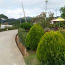 바다랑펜션 이미지