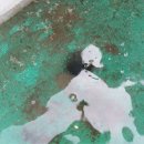 옥상조각 이미지