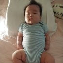 와니유니