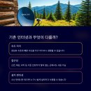 [위성] 스타링크_위성통신, 인공위성, 저궤도 위성, 일론머스크