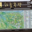풍전목장 | [평창] 대관령 3개 목장 비교 정보 &amp; 하늘목장 여행 후기 평가 (삼양목장 하늘목장 양떼목장)