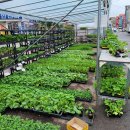 그린농자재마트 이미지