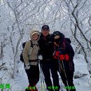 산들바람 Daum카페