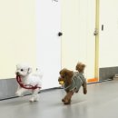 마이리틀메이트 이미지