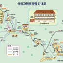 치유의숲야영장팬션