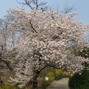 용마산입구 이미지