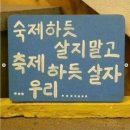 평화로운세상 이미지