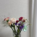 노원역 꽃집 그릿플라워 | 생일/프로포즈 꽃다발 받았어요 🌷 후기