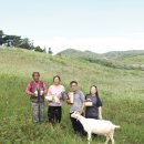 임실샘고을 영농조합법인 이미지