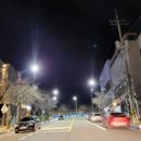 우수영동물병원 이미지