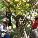 창촌중학교 이미지