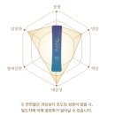 현연농장 | 캠핑용품, 수험생 간식으로 좋은 휴대용 스틱형 천연 꿀 : 꿀다림 후기