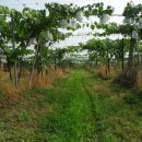 새한농기계 이미지