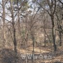 기쁨뜰근린공원 이미지