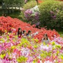 여심(女心) 이미지