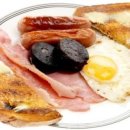 피트니아 이미지