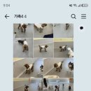 놀러오개 송파점 네이버블로그
