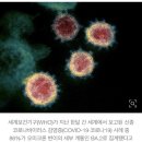 WHO "한달새 전세계 코로나 확진자 86% 스텔스 오미크론 감염" 이미지