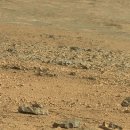 큐리오시티 이미지