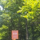 은선사 | 차니지일상_ 이천 산촌리 카페 지음 방문 후기 / 은선사 / 카페지음 / CAFE 知音 / 마음이 통하는 벗...