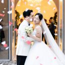 시노안 | 전주 아엘르 웨딩스냅 사진 후기 (시노그라피)