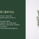 엘로이헤어 이미지