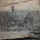 상주 공검지 이미지