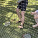 트리밸리 이미지