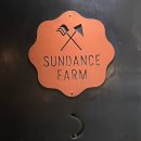 더라파팜 | 대구 대봉동 :: 김광석거리 야외 테라스가 예쁜 카페 [ 선댄스팜 ]