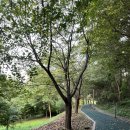 노작공원(오산천변) 이미지