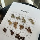 바리스타(창업) A 이미지