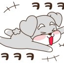 꿀때지