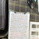 설레인 | [내돈내산] 10월 1박 2일 가평 여행 풀빌라 - 설레인 풀빌라 글램핑펜션