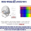 대림그랑프리안경 이미지