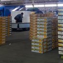 원협중매인66호 이미지