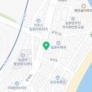 앨리스 펫 살롱 이미지