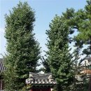 남원 관왕묘 이미지