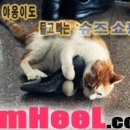 최기택송이아구찜 이미지