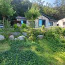 여주-0773 Daum카페