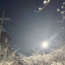 쑤기분식 | 26년 4월의 포토덤프🗑️/꽃과함께🌸