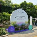 영신숲 외 가로수길 | 보라매공원 정원박람회 후기, 메타몽가든, 작가정원 이야기