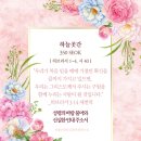 샬롬교육연구소 이미지