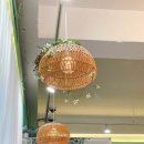 카페돌옷 이미지