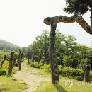 충청북도합창축제 이미지